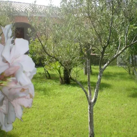 Hotel Sisula Country & 4*
