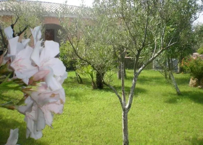 Otel Sisula Country & 4*